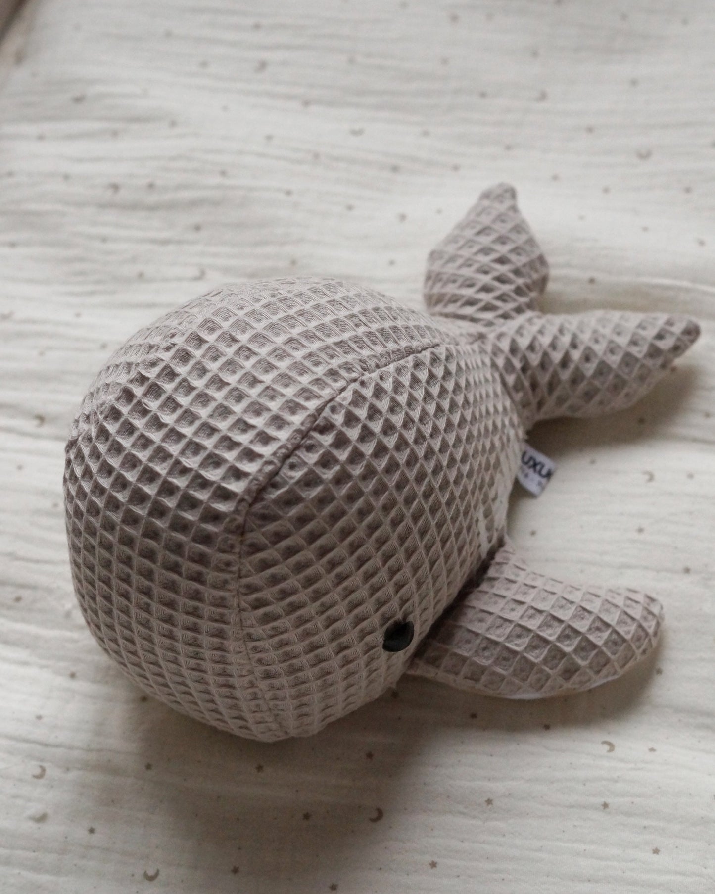 Ballena Suki